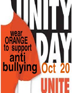 Orange t-shirt for Unity Day